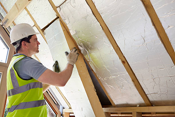 Best Insulation Installation Services in Prior Lake, MN